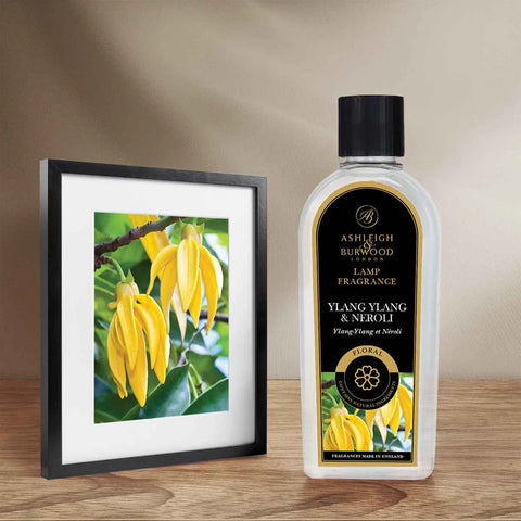 Ashleigh & Burwood Ylang Ylang & Neroli Geurlamp Olie