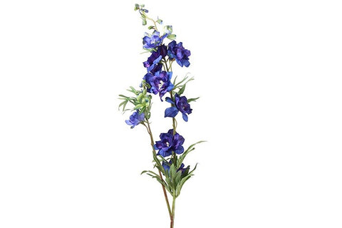 Countryfield - Delphinium Jesika blauw